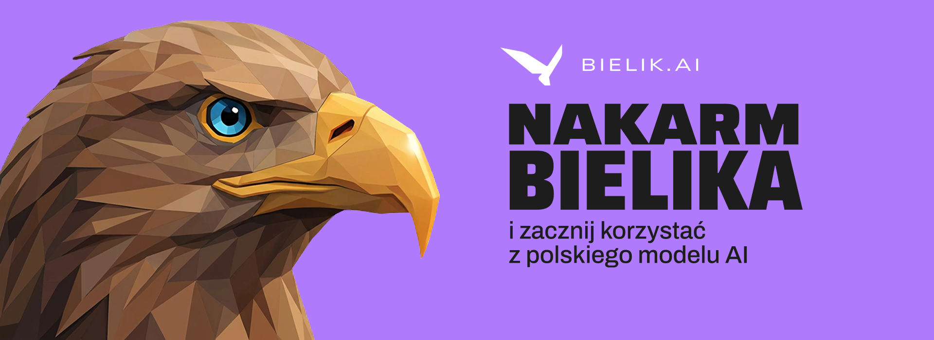 Nakarm Bielika i zacznij korzystać z polskiego modelu sztucznej inteligencji