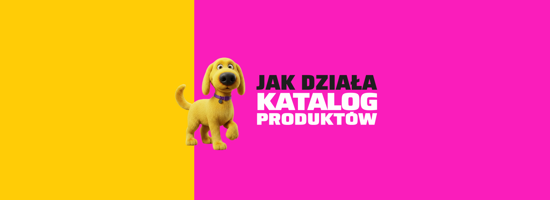 Jak działa katalog produktów?